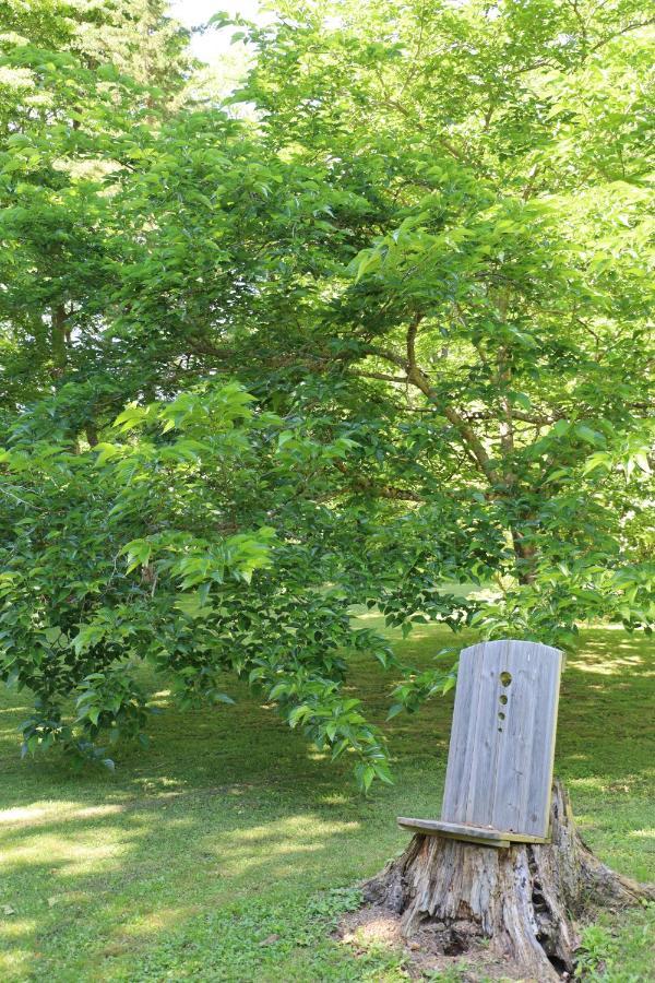 Domaine De Pouroutounat 米尔普瓦 外观 照片